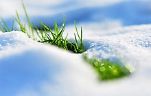 Зеленая трава и снег